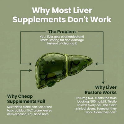 Liver Restore - Liver Support & Recovery by Kinova Labs™