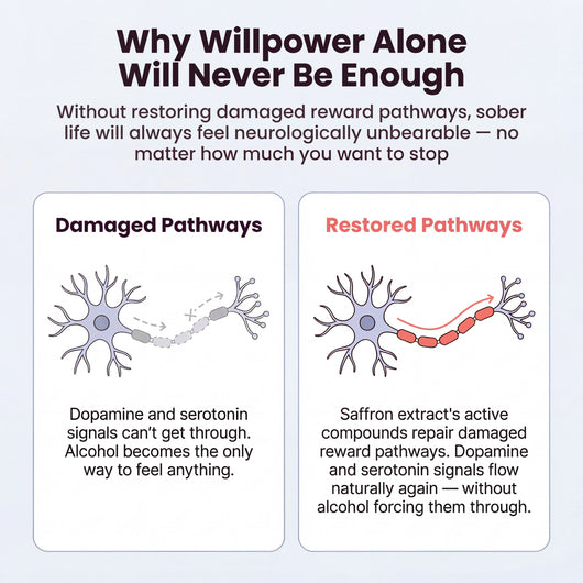Pure Saffron Extract – Alcohol Dependence Support